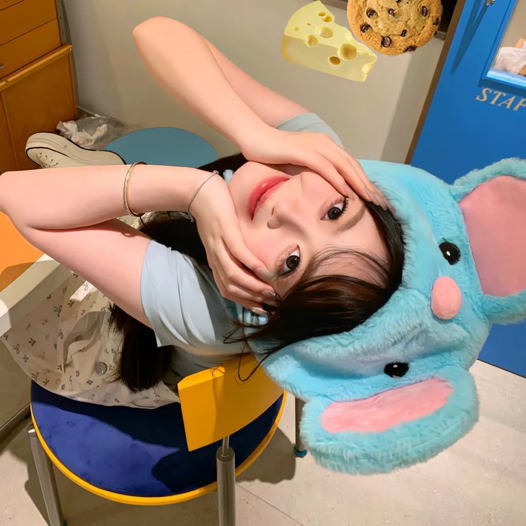 笨金鱼